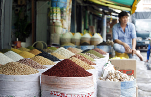 Aperçu sur la vie locale à pied à Saigon